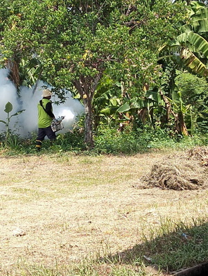 Image 1-15